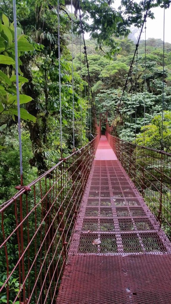 Monteverde Cloud Forest Hanging Bridge