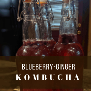 Blueberry Ginger Kombucha
