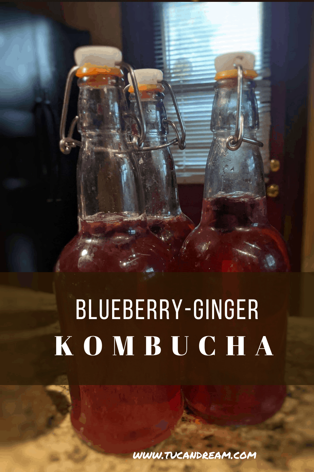 Blueberry Ginger Kombucha