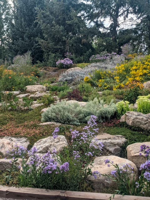 Perennial Garden