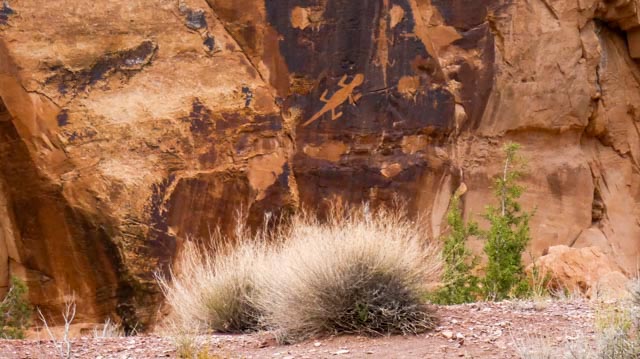 Lizard Petroglyphs