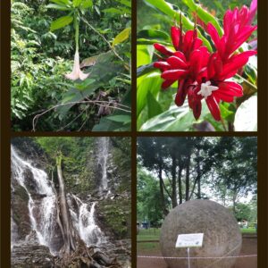 Explore the Osa Peninsula