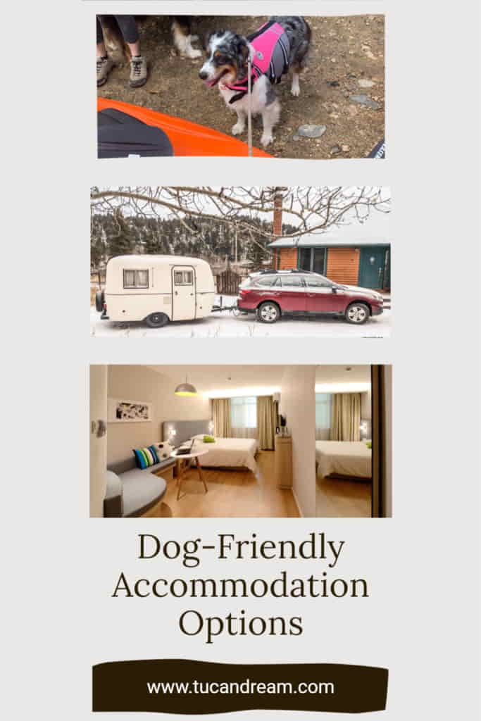 Dog Friendly Accomodation Options