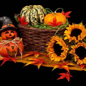 Sustainable Holiday Season