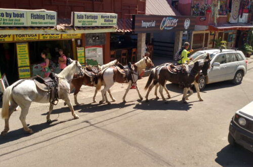 Horses Main Street Montezuma