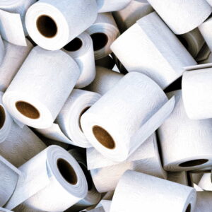 Rolls and Rolls of Toilet Paper