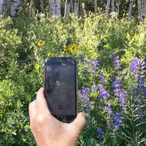 Eco-friendly apps help you while helping nature