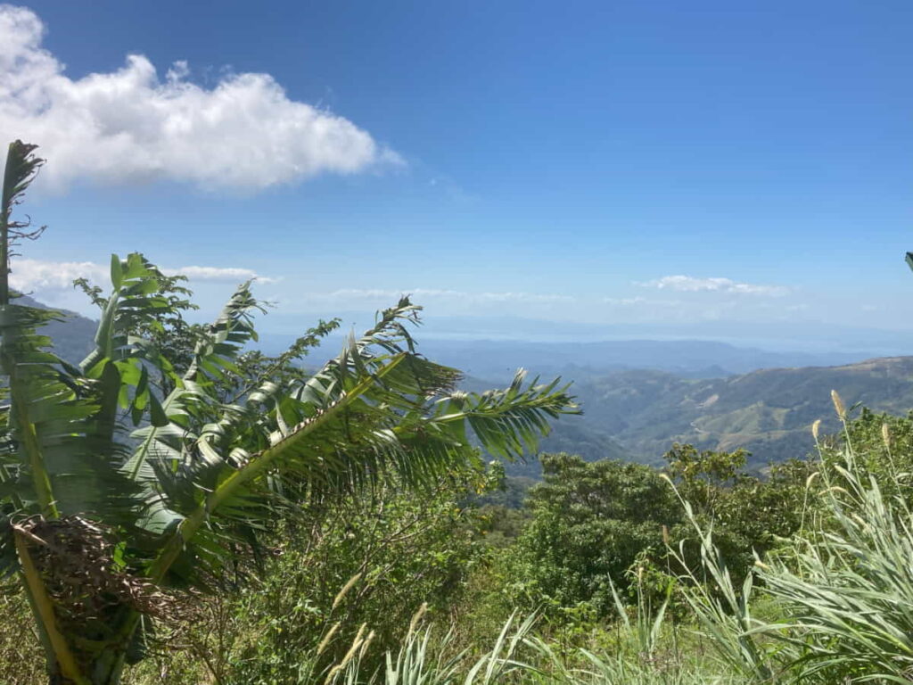 Monteverde View