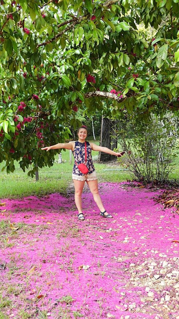 A Carpet of Pink Petals