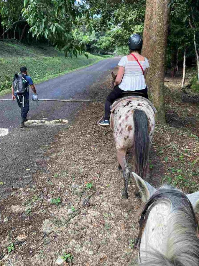 Guide Walking After Horses Ditched Him