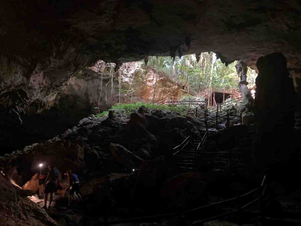 Peering out of a Sinkhole to a Tropical Oasis